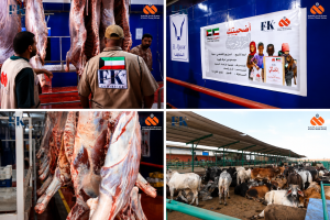 FK Logistics Completes Preparation of 50 Cattle for Rahma Global Society – Kuwait in Support of Displaced Families in Gaza